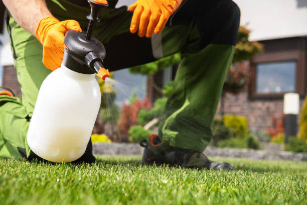 Best Bird Control  in Harsville, RI