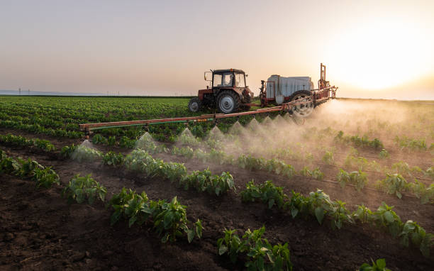 Best Mosquito Control Services  in Harsville, RI