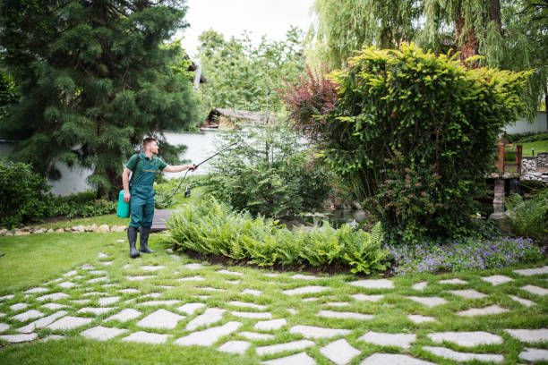 Flea Control Services in Harrisville, RI