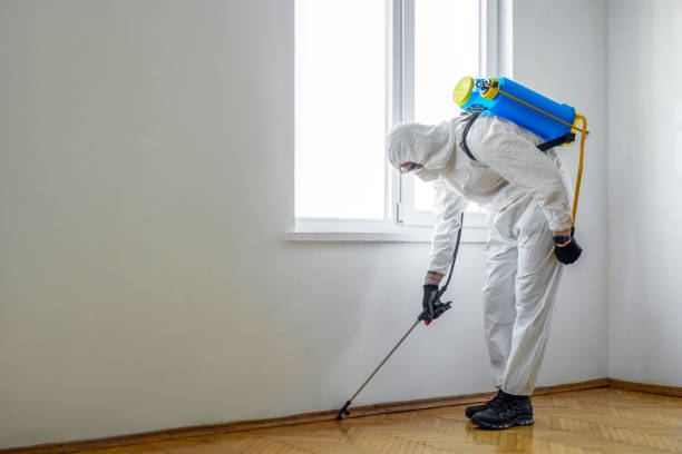Best Bed Bug Extermination  in Harsville, RI