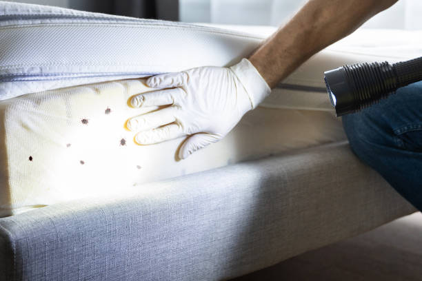 Best Pest Control Near Me  in Harsville, RI