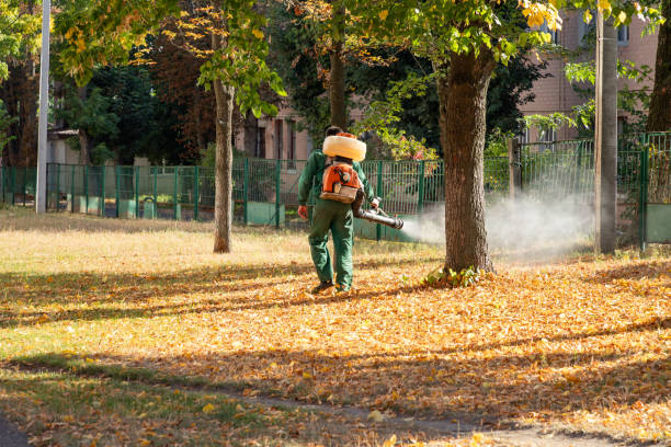 Best Cockroach Control Services  in Harsville, RI