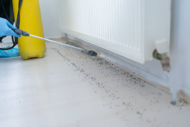 Best Insect Control  in Harsville, RI