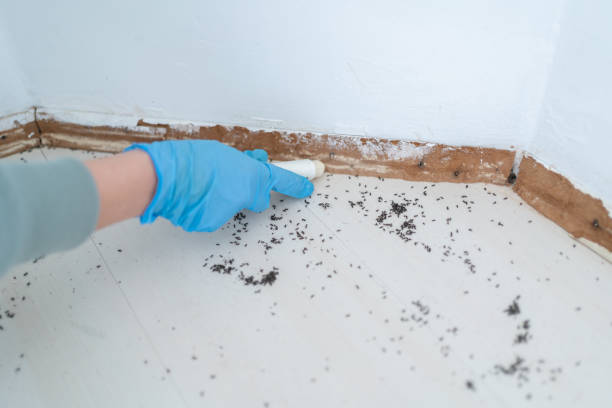 Best Best Pest Control Companies  in Harsville, RI