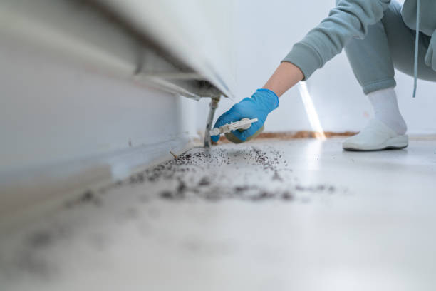 Best Affordable Pest Control Services  in Harsville, RI